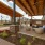 covered seating with lounge chairs