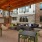 covered seating with lounge chairs